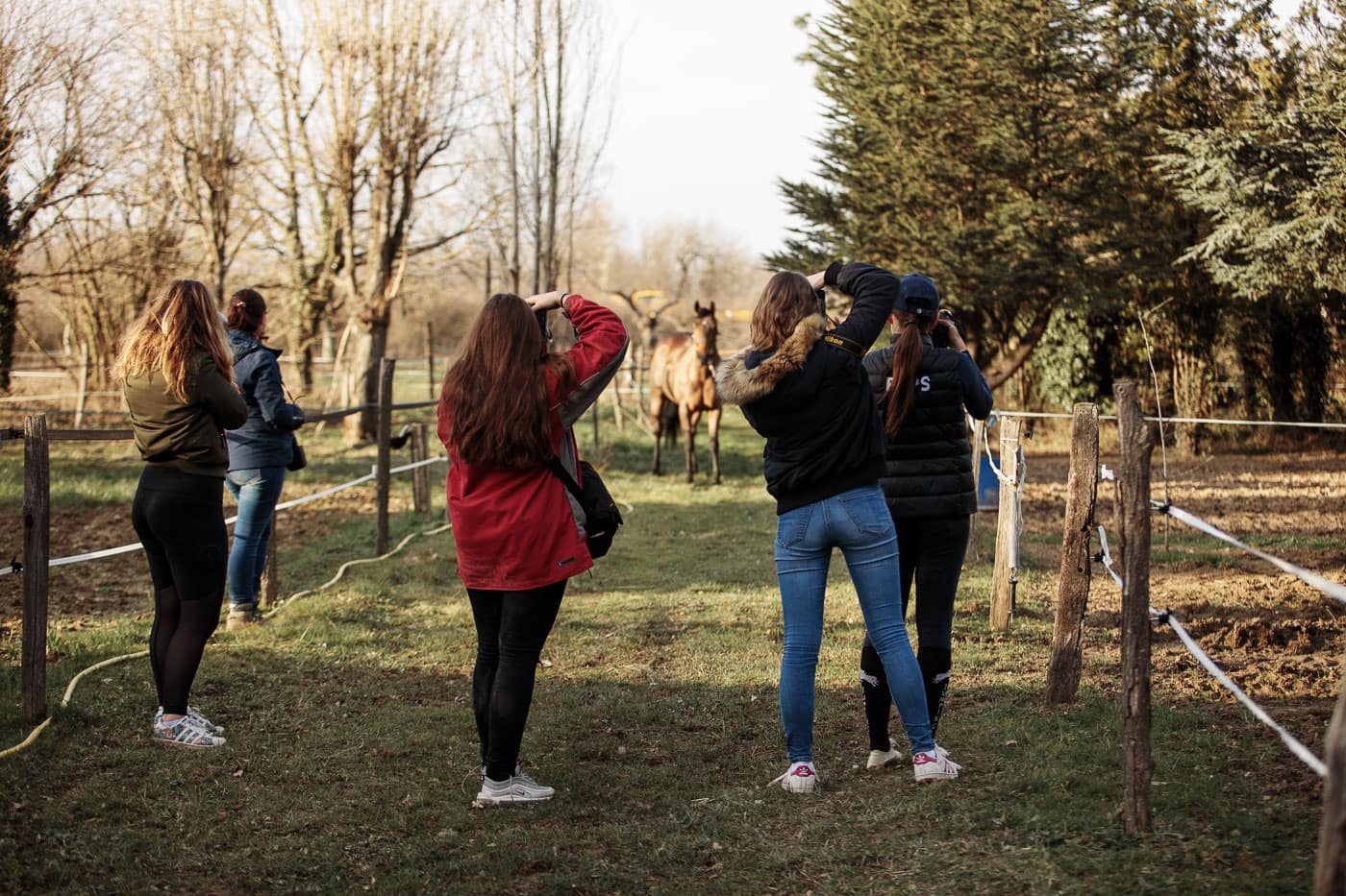 Rencontre photo : des photographes prenant en photo un cheval - Faustine Gauchet