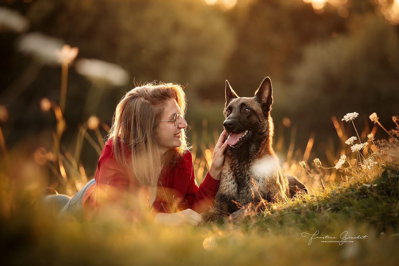 moment complice entre un chien et son maitre, berger belge malinois photographie canine