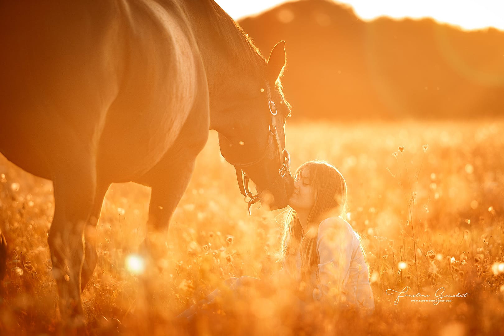 bisou cheval et cavalière au coucher du soleil dans un champ de fleurs
