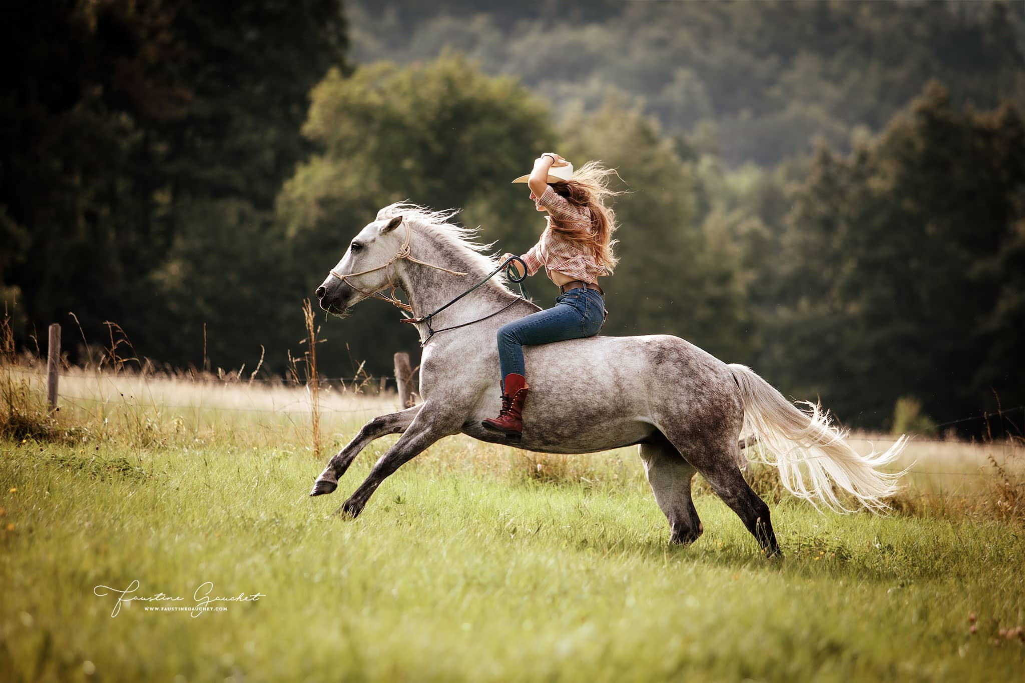 cheval gris au galop avec cavalière western à cru, cheval liberté