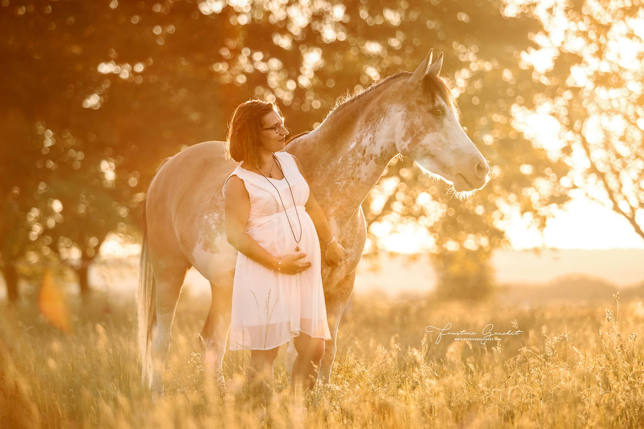 séance photo grossesse avec cheval au coucher du soleil