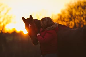 cheval et cavalier au coucher du soleil en bretagne
