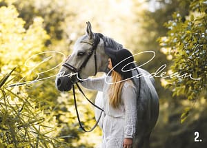 bon cadeau photo - Faustine Gauchet - design cheval et cavalier