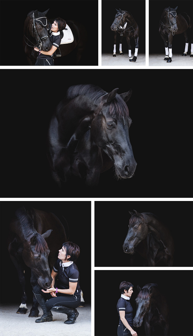 portrait cheval reagan fond noir