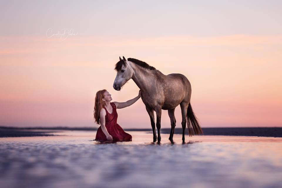 un poney et sa cavalière sur une plage au coucher du soleil